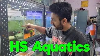 Discount Offer at HS Aquatics I Delivery available All Over India