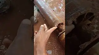 4040 Ro Membrane Change 1000 lph RO Plant #filter #service  #plants #india #viral