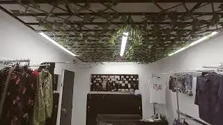 Musas Medell&iacute;n.