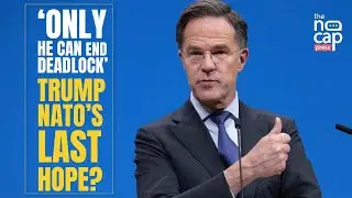 'I'm Not Going To React To Everything Putin Says':  NATO's Rutte Hails Trump Amid US-Europe Divide