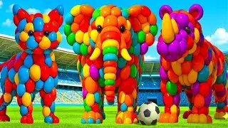 The mascot vibrato assistant JCB and Tractor on the football field is popular, co produced, creative