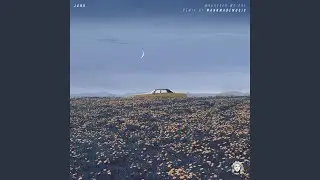 Diver In The Rough