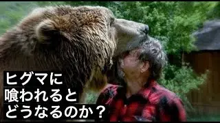 【死闘】ヒグマに喰われるといかにして命を奪われるのか？