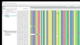 Haplotype Phasing in UGENE (3 Haplotypes + Consensus)