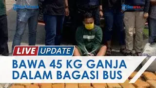 Bawa 45 Kg Ganja Pakai Bus Antar Provinsi, Kurir Narkotika Asal Aceh Dibekuk Tim Berantas BNN Jambi