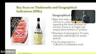 Rethinking Traditional Knowledge: The use of Trademarks and Geographical Indications protection