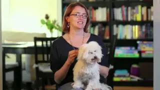 Wings of Fire: Tui T. Sutherland's  Top 3: Hardest to Write