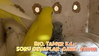 Kanatlı Hayvan Uzmanı Bio. Tamer Kılıç Soru Cevap