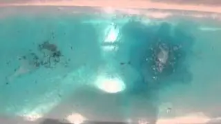 Lush - Big Blue Bath Ballistic