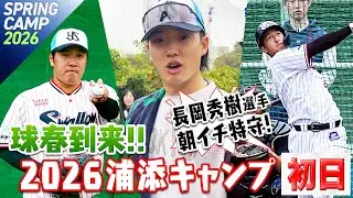 球春到来!!2026年浦添キャンプ初日！