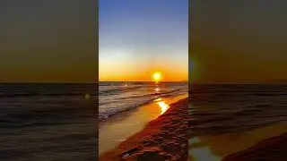 Sun & Sea Vibes 🌞🌊 Soothing Mind Relaxing Music #shorts