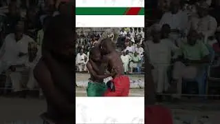 Strong Warriors Battling For Victory! #boxing #dambe #mma #shorts #combatsports #action #brutal