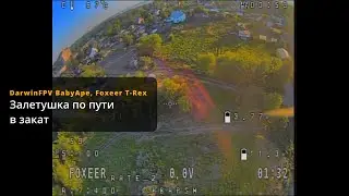DarwinFPV BabyApe v2, Foxeer T-Rex. Залетушка по пути в закат.