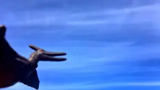 Phantoms of Prehistoric Ep16: Pteranodon