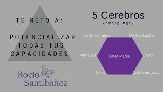 😱🙆&zwj;♀️Reto para Potencializar todas tus Capacidades desde tus 5 Cerebros con M&eacute;todo Yuen 2022