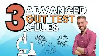 3 Next Level Gut Health Clues From a Functional Stool Test