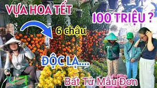 TẤP NẬP CHỢ HOA TẾT SA Đ&Eacute;C 2026 XUẤT HIỆN NHIỀU HOA KỲ LẠ GI&Aacute; RẺ B&Ugrave;NG NỔ 6 CHẬU QU&Yacute;T KHỦNG 100 TRIỆU