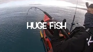 Huge Fish off the Kayak