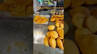 Bhopal famous street food | bhopal food| bhopal restaurant | #bhopal #indianstreetfood #shorts