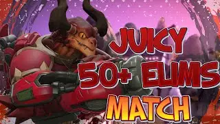 A nice and JUICY 50+ Elim Match : Paladins Pro Drogoz Gameplay