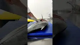 Fish||Jack FISH|| Easy way#shorts