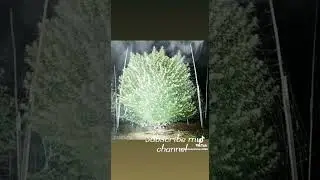 dahasak mal meda .....
