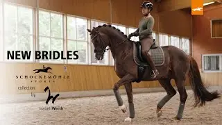 Bridle collection Isabell Werth x Schockem&ouml;hle Sports