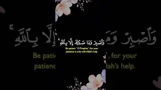 The best book in the world is the Quran. #islamicshorts #viralytshorts