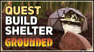 Build Shelter Grounded Build a Lean-To