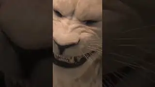 Dr. Vishnu Dada Vishnuvardhan#Kannada #WhatsApp#status#🦁🦁🦁#Karnataka#Bangalore#