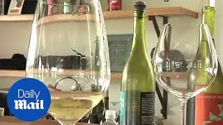 Winemakers branch out into marijuana as a new business venture - Daily Mail