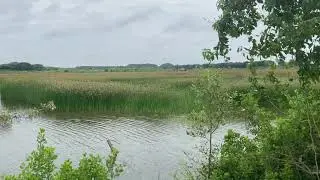ASMR The soothing sound of trickling water makes the heart feel peaceful