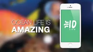 Ocean Life ID (iPhone & Android App)