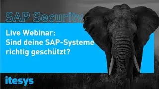 Webinar SAP Security: Sind deine SAP Systeme richtig gesch&uuml;tzt? | itesys AG