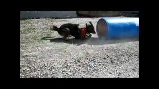 OCE Discovery 2012 Video Contest - Jimmy Tran and Scott Herman - Ryerson University