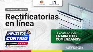 PROGRAMA IMPUESTOS CONTIGO RECTIFICATORIAS EN LÍNEA