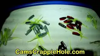 💥💥CAM'S CRAPPIE STILL ON FIRE! SO HOT WE HAVE TO FISH AT NIGHT   CRAPPIE THE NEW BEEF💥💥