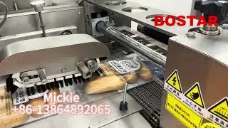 Qingdao BOSTAR hotdog flow packing machine.