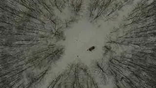 dji phantom 2 - forest flight