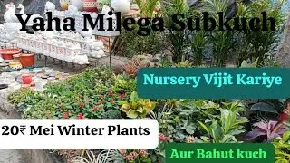 Lucknow Ki iss Nursery Meri Gardening Ke Liye Milega Subkuch Beautiful plants aur Bahut kuch 🌹👍