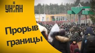 На границе Беларуси и Польши сотни мигрантов с палками ринулись на штурм ограждения