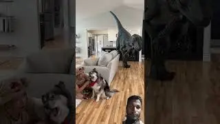 😍😝😱 #jurassicworld #dinosaur #jurassicpark #funny #armylevelexperiment #animals 😍😝😱