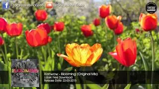 Xanwow - Blooming (Original Mix) [Free Download]