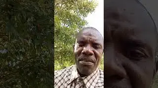 Eske se nan asambleasaa Bondye ap sevi avem