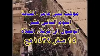 14صفر موكب بني عامر المشاية يوم12 الوصول الى كربلاء