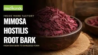 MHRB Mimosa Tenuiflora Root Bark Harvesting & Production Process at Medikonda Nutrients