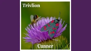 Cunner