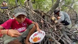 ដើរកាប់គាស់អយស្ទរក្នុងព្រៃកោងកាងតាមកោះលើផ្ទៃសមុទ្រខ្មែរ FIND OYSTERS ON KORNG KANG ISLAND 4K VIDEO