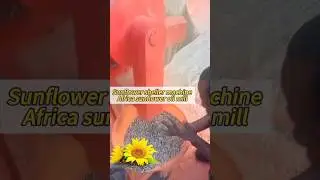 Sunflower seed sheller machine,suflower shelling machine,Sunflower seeds peeling machine#sunflower