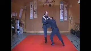 Bujinkan Canada Tenchijin by John Willson